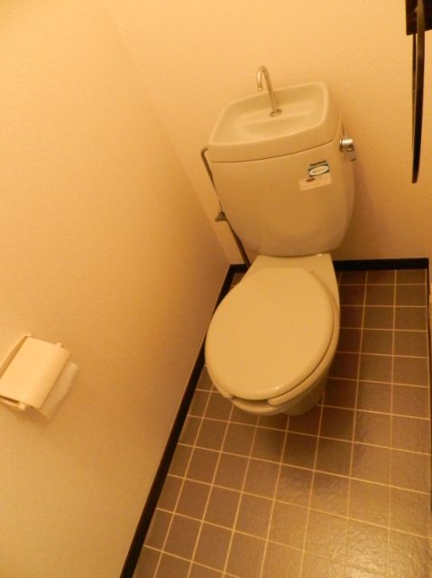 Toilet. Spacious toilet