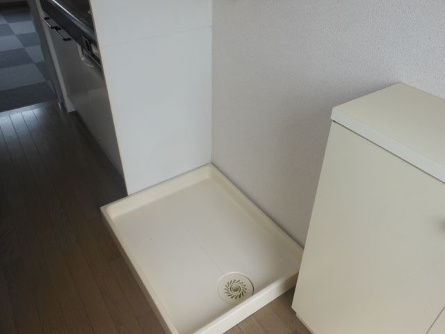 Other room space. Washing machine in the room