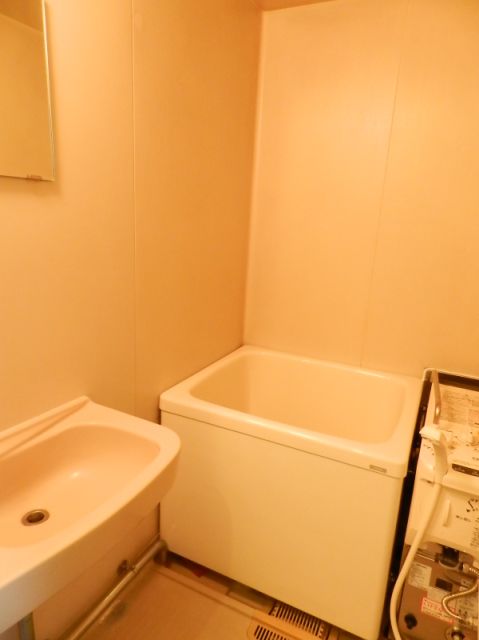 Bath. bus, Restroom There is also a wash basin