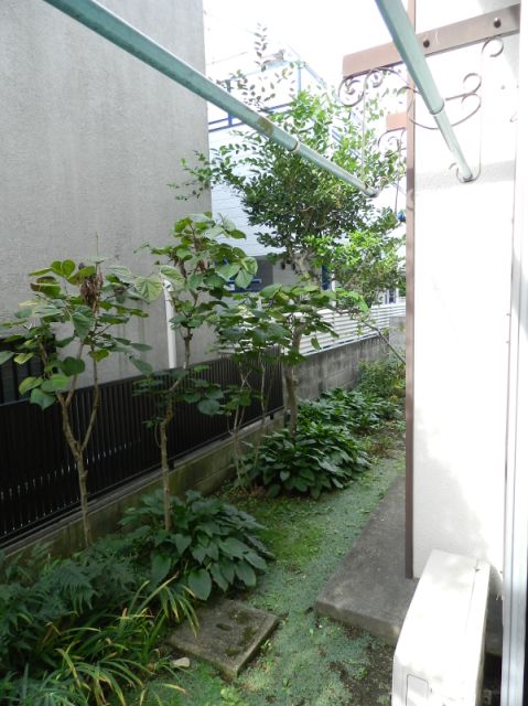 Other room space. Day is good