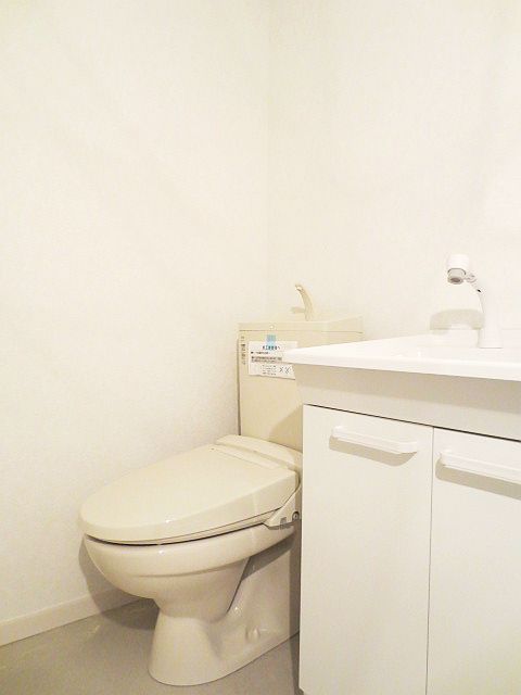 Toilet. Washbasin with shower