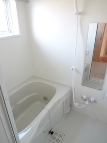 Bath. Bathing is fired with bathroom dryer chase