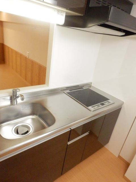 Kitchen. IH heater with kitchen