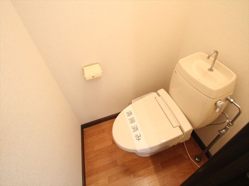 Toilet. Bidet we established the