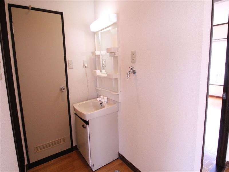 Washroom. Bathroom vanity