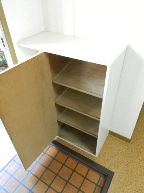 Entrance. It is with cupboard