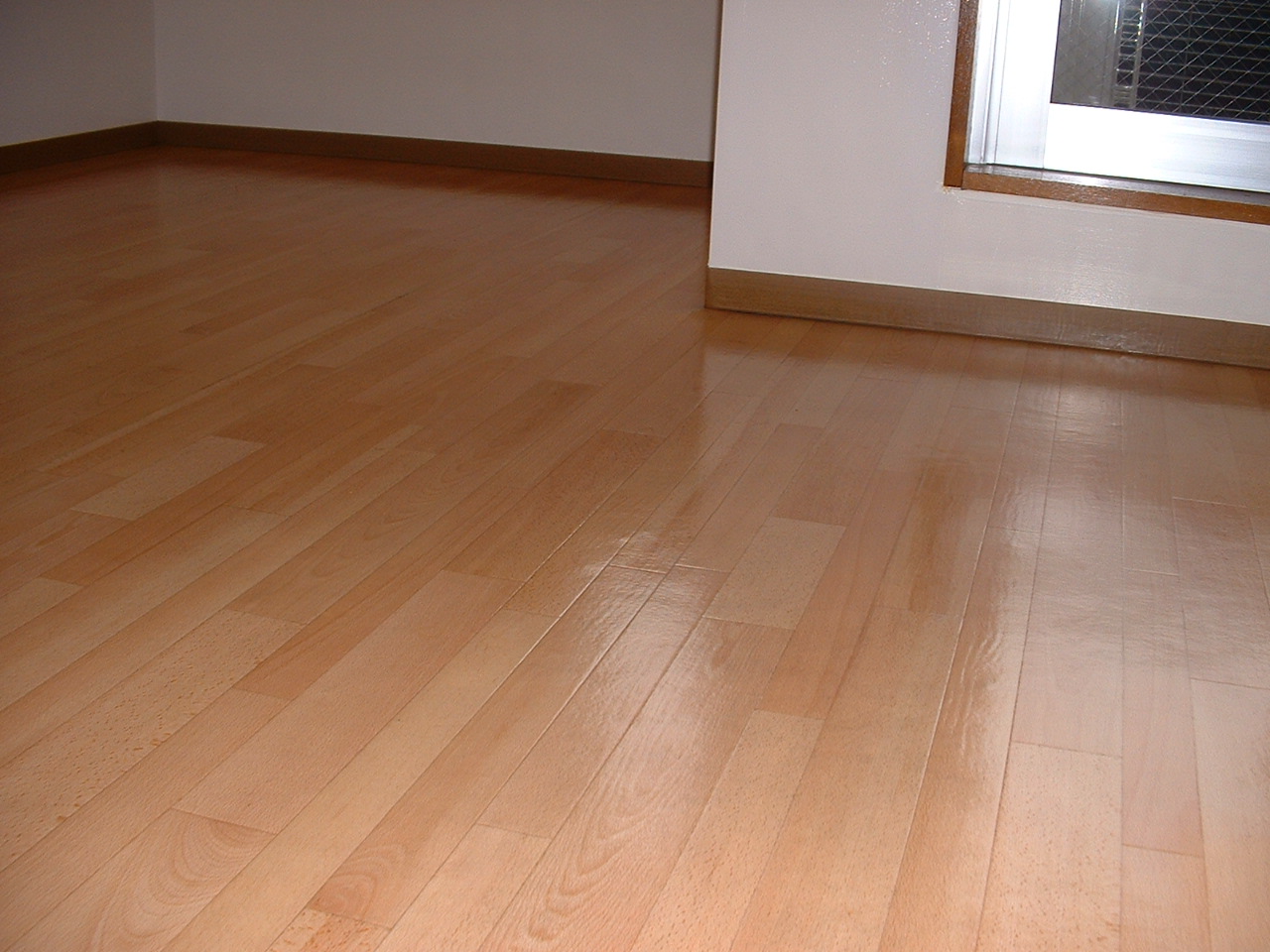 Living and room. Floor sparkling