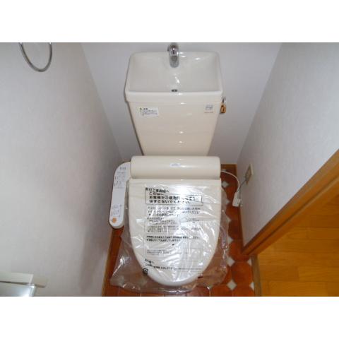 Other. It comes with a bidet! 