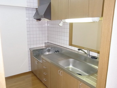 Kitchen. Popular counter kitchen