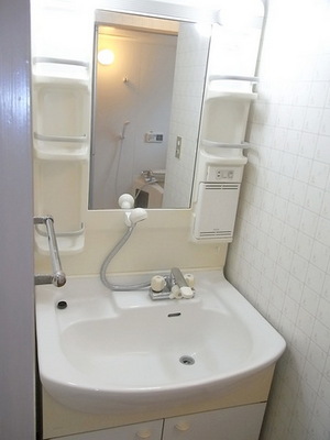 Washroom. Shampoo dresser