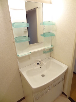 Washroom. Established a new shampoo dresser.