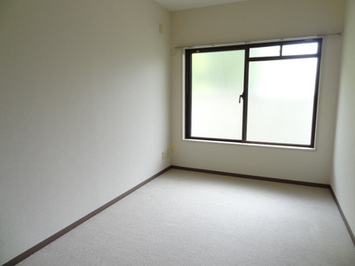 Living and room. 5.4 Pledge of carpet of the room.