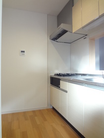 Kitchen. 2 lot gas stoves in the kitchen