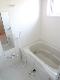 Bath. Bathing is fired with bathroom dryer chase