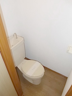 Toilet. Toilet