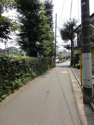 Other. It is the street in front of the eye