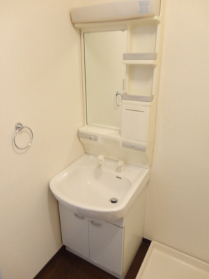 Washroom. Independent wash basin