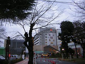 Hospital. Musashinosekijujibyoin until the (hospital) 251m
