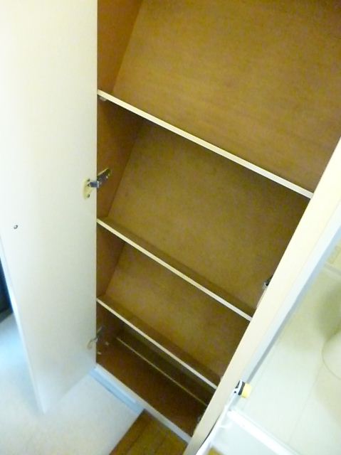 Entrance. There is a cupboard in the entrance.