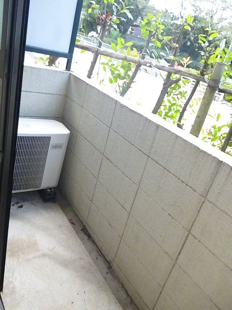 Balcony. It is a veranda.