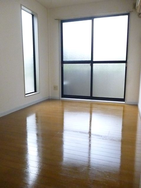 Living and room. It is a bright room with two-sided lighting.