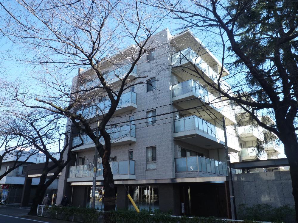 Local appearance photo. Appearance (12 May 2013) Shooting