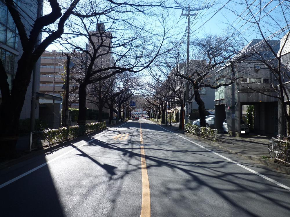 Other local. Front road (December 2013) Shooting