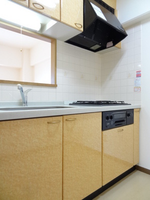 Kitchen. Popular counter kitchen