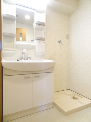 Washroom. Shampoo with Dresser