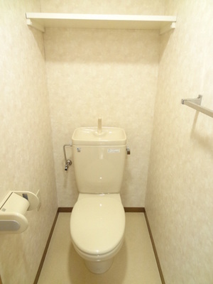 Toilet. Eradication construction already toilet