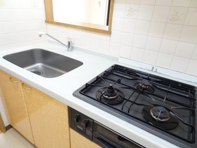 Kitchen. 3-neck gas grill with a system Kitchen