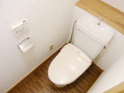 Toilet. Heating hot water cleaning toilet seat with toilet