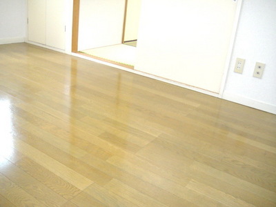 Living and room. DK5 Pledge