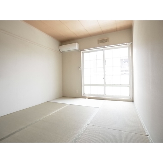 Living and room. Is a good hit yang ◎