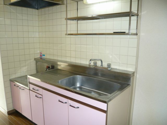 Kitchen. Two-burner gas stove definitive kitchen