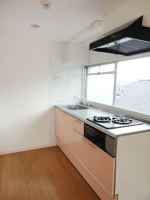 Kitchen. System kitchen