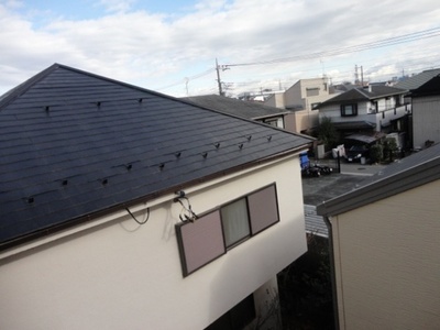 View. View from the balcony