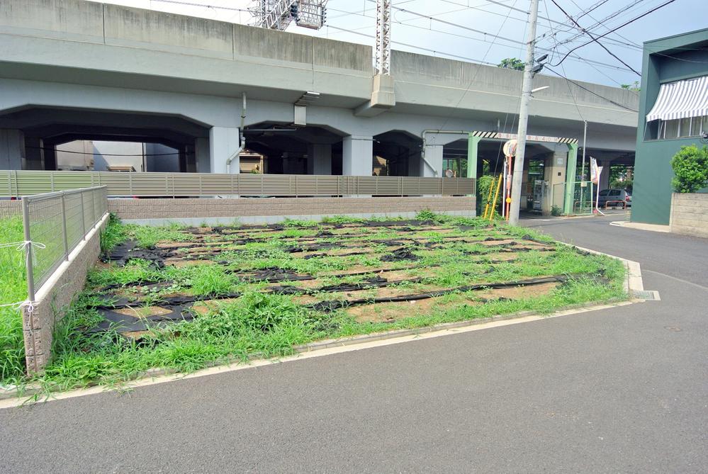 Local land photo. Local (July 2013) Shooting