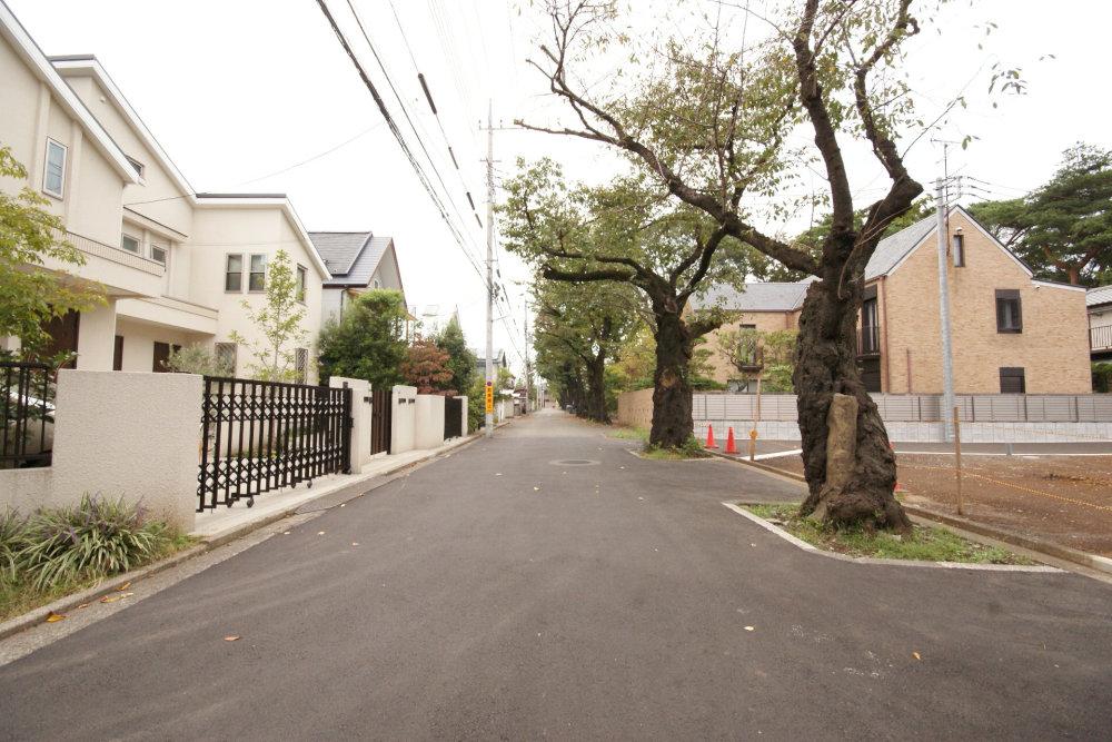 Local photos, including front road. Development subdivision facing the cherry tree-lined road. 