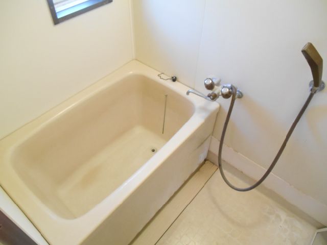 Bath. The bath is equipped with a window.