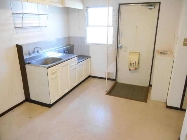 Living and room. Kitchen space