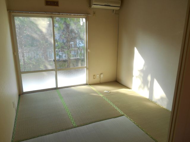 Living and room. It is south-facing corner room