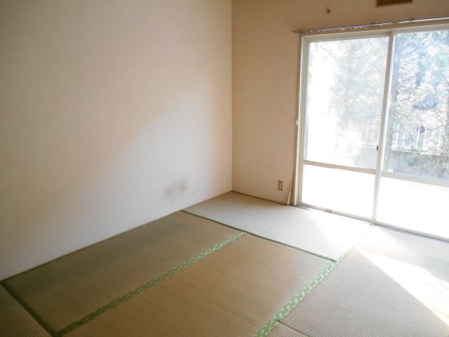 Living and room. It is south-facing corner room.