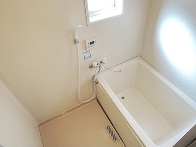 Bath. Windowed bathroom