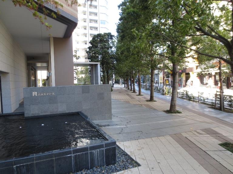 Entrance. Common areas