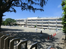 Primary school. 550m to Musashino Municipal fifth elementary school (elementary school)