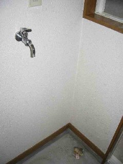 Other room space. There is a washing machine storage in the room