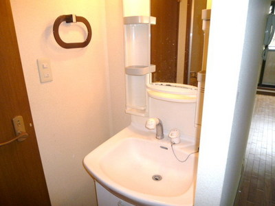 Washroom. Shampoo dresser