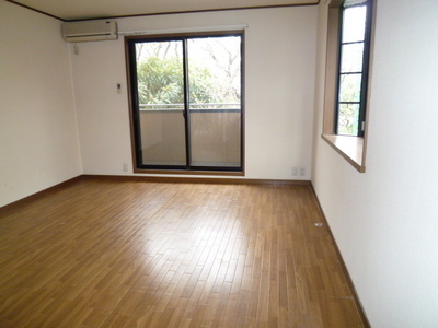 Living and room. Corner room bay window with two faces lighting