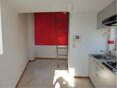 Living and room. Designer's Mansion